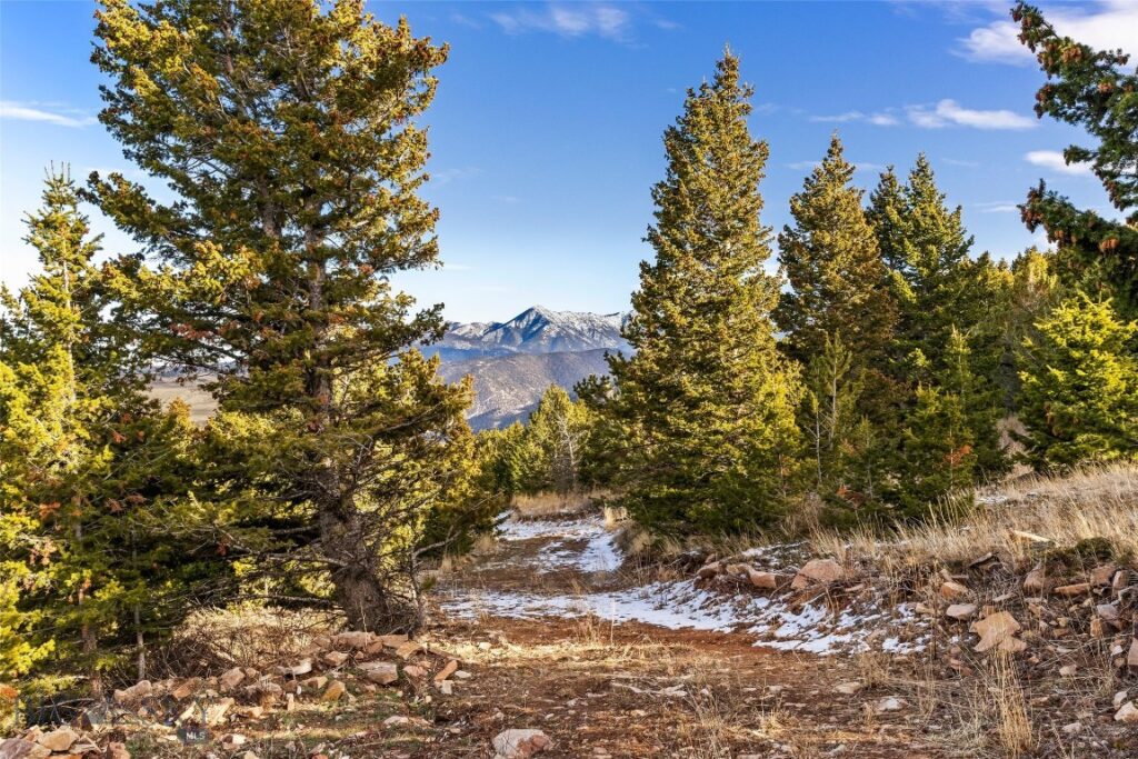 TBD Elk Meadows, Livingston MT 59047