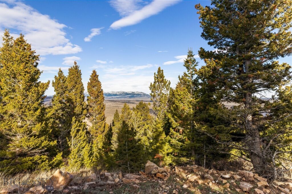 TBD Elk Meadows, Livingston MT 59047