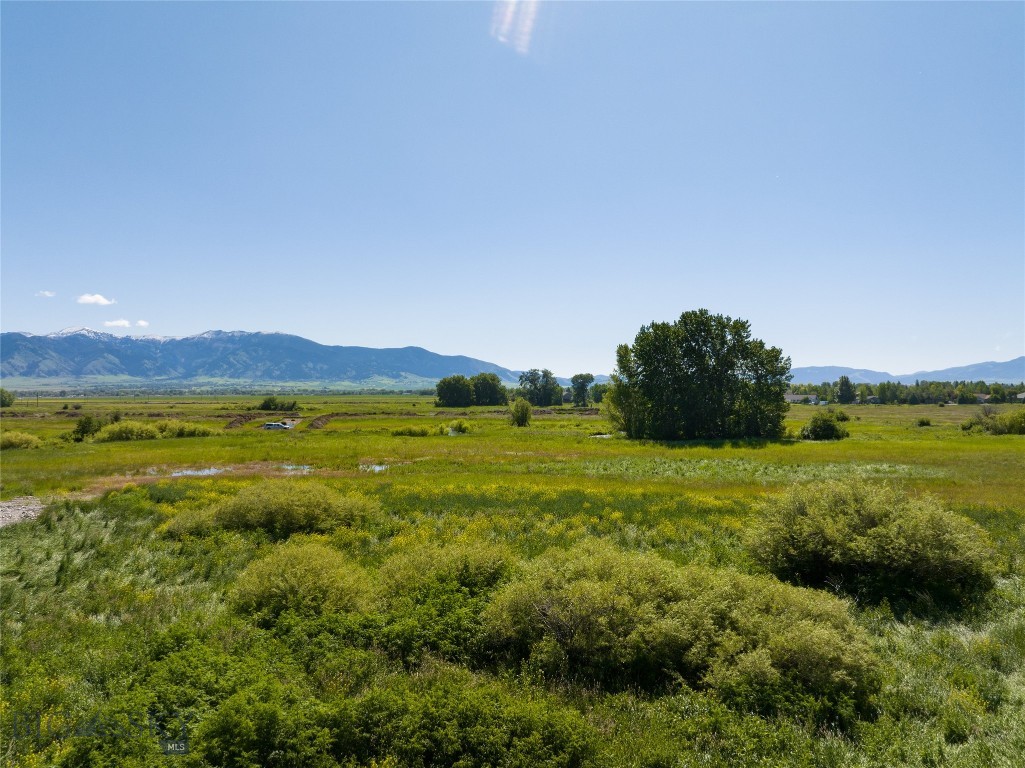 Lot 11 S Riparian Way, Bozeman MT 59718