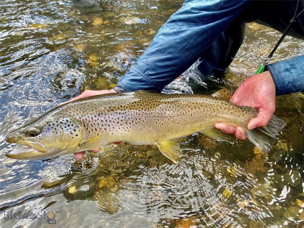 Lot 15 A TBD Riverway Road, Belgrade MT 59714