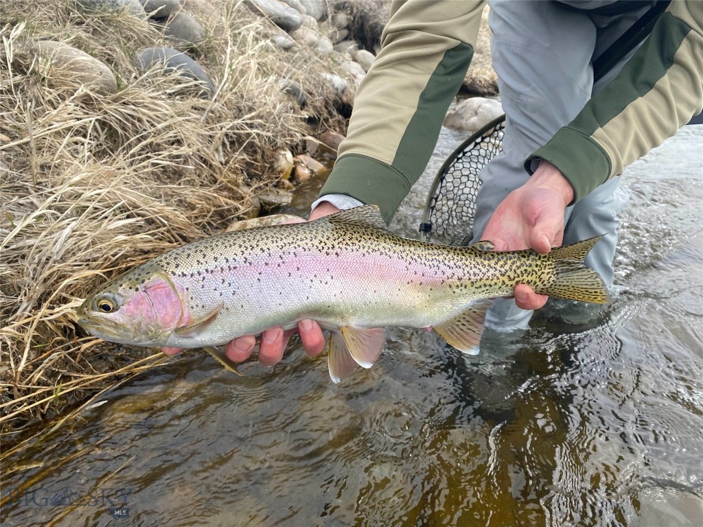 Lot 15 A TBD Riverway Road, Belgrade MT 59714