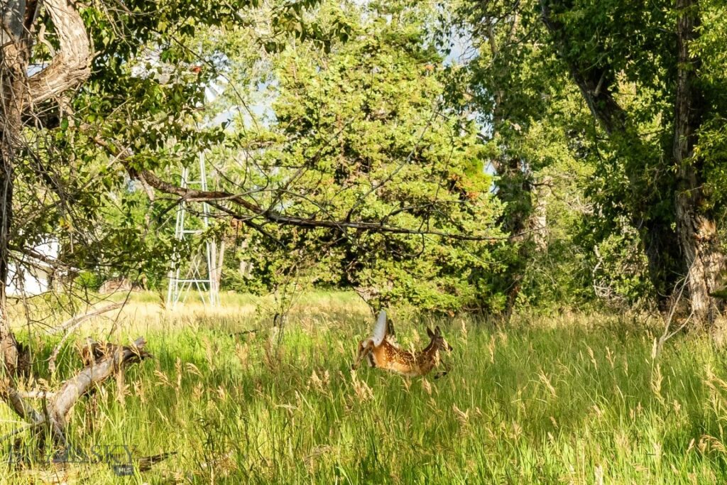 Lot 15 A TBD Riverway Road, Belgrade MT 59714