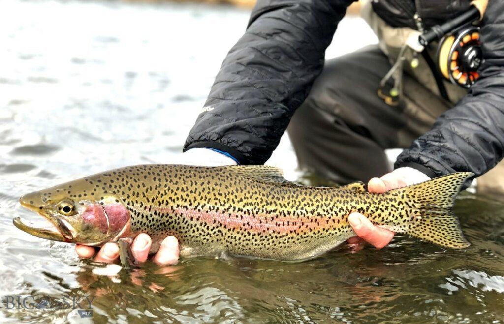 Lot 15 A TBD Riverway Road, Belgrade MT 59714