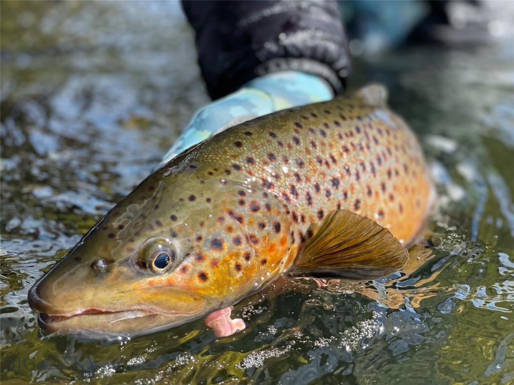 Lot 15 A TBD Riverway Road, Belgrade MT 59714