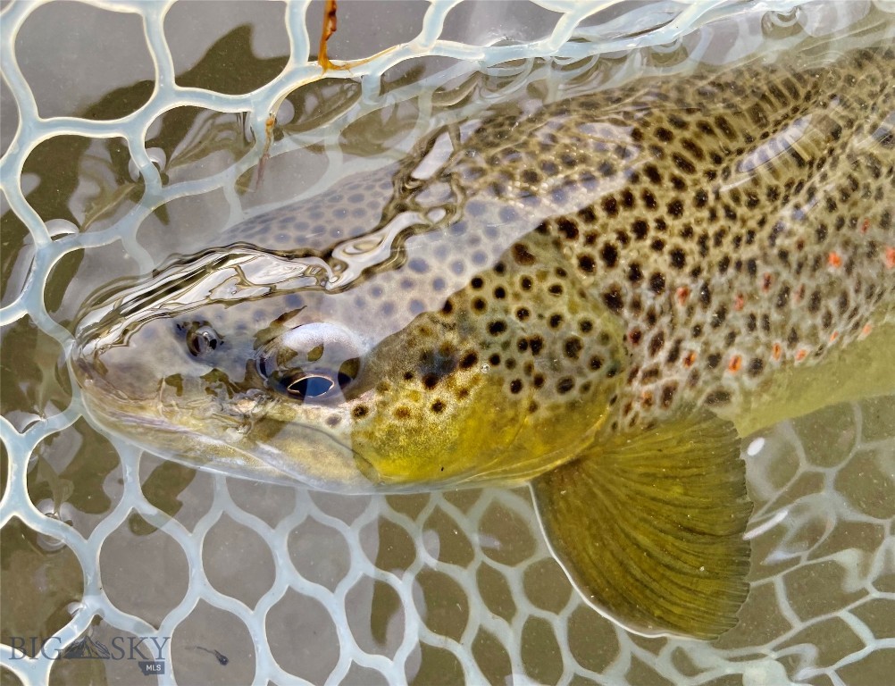 Lot 15 A TBD Riverway Road, Belgrade MT 59714