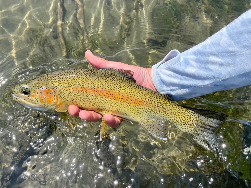 Lot 15 A TBD Riverway Road, Belgrade MT 59714