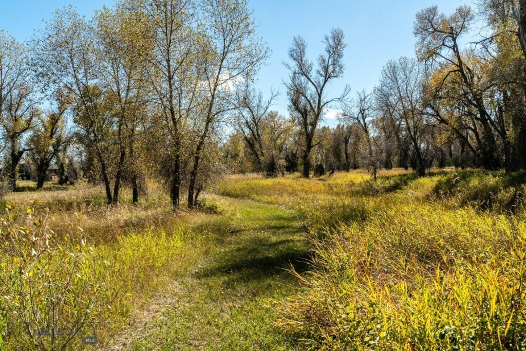 Lot 16 A TBD Riverway Road, Belgrade MT 59714