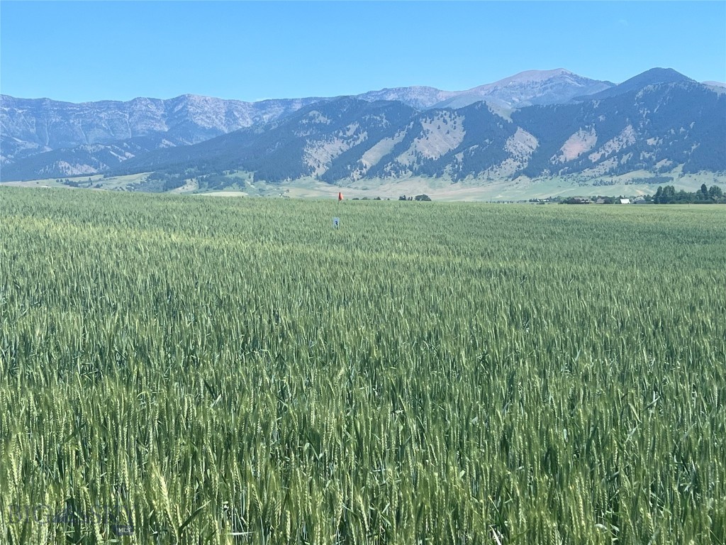 Lot 3 Penwell Bridge Road, Belgrade MT 59714