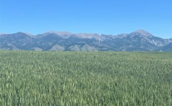 Lot 3 Penwell Bridge Road, Belgrade MT 59714