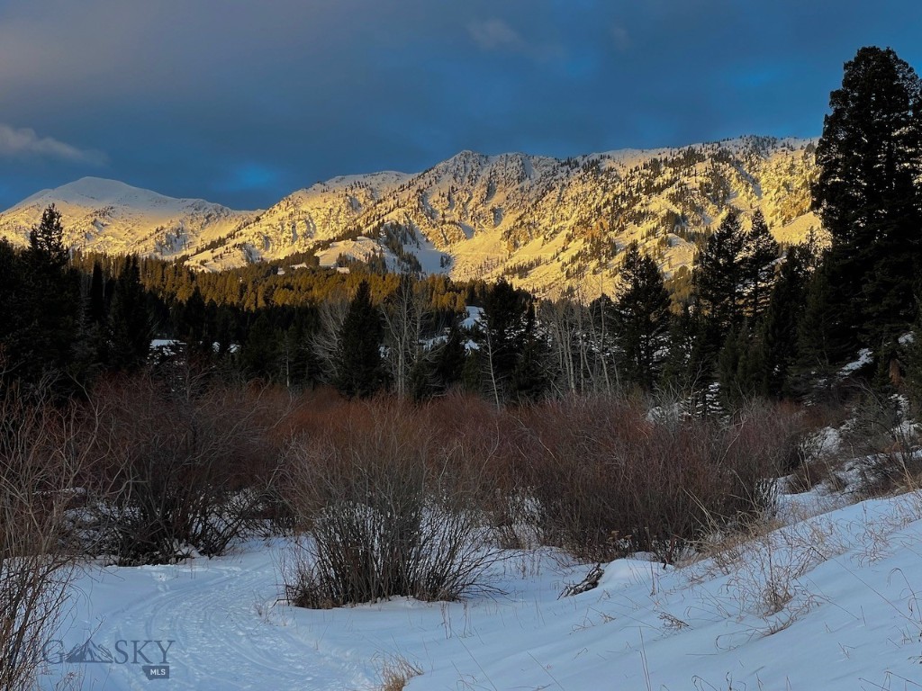 Lot 9A-1 Wedeln Drive, Bozeman MT 59715