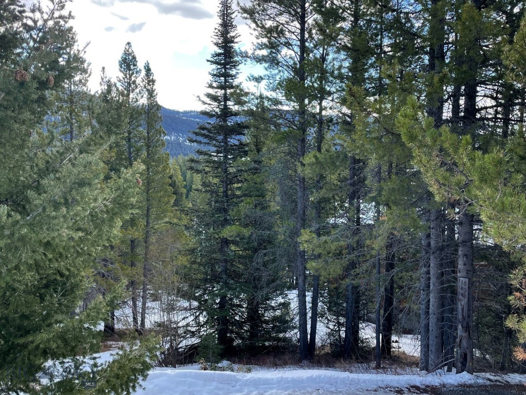 Lot 9A-1 Wedeln Drive, Bozeman MT 59715