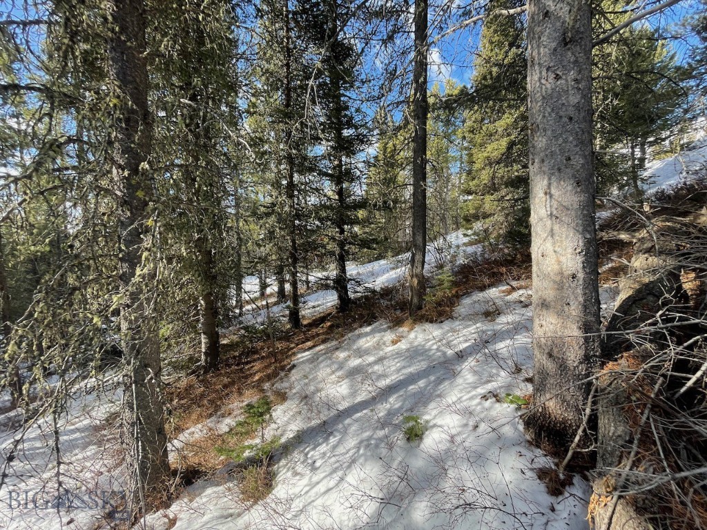 Lot 9A-1 Wedeln Drive, Bozeman MT 59715