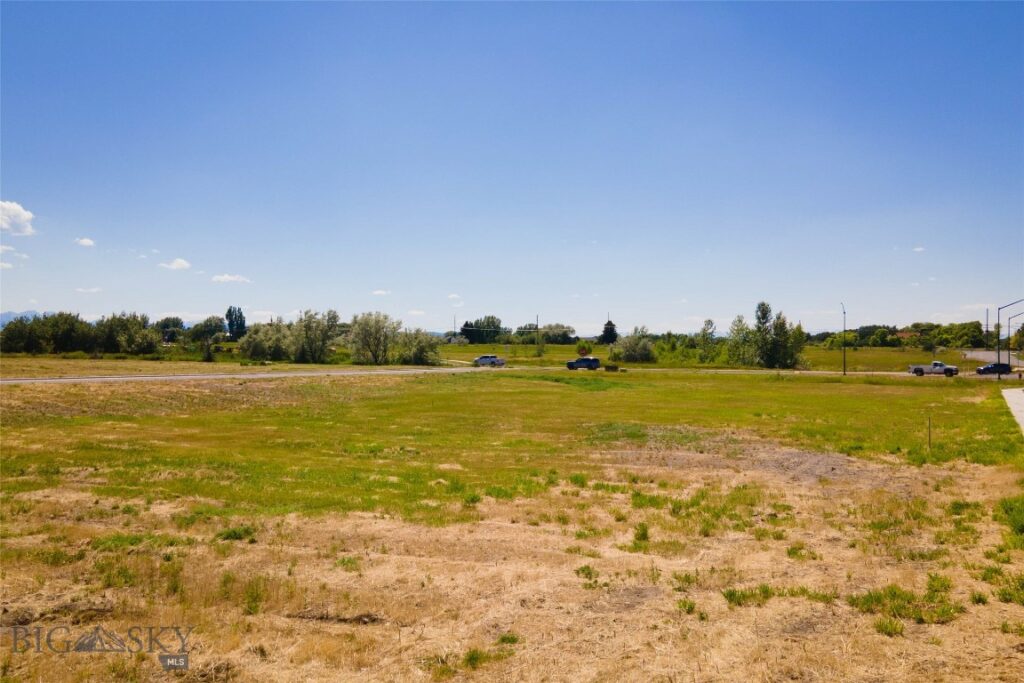 Lots 14A & 15A Cattail Street, Bozeman MT 59718
