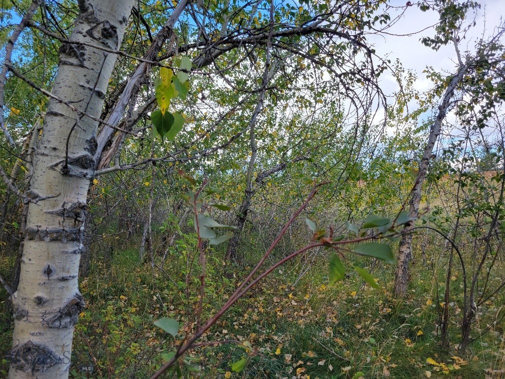 NHN  Hyalite Canyon Road, Bozeman, MT 59715