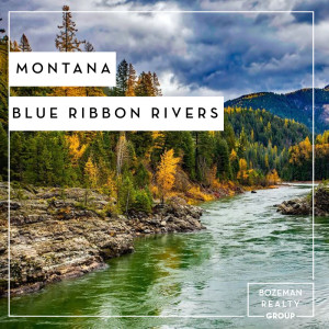 Montana Blue Ribbon Rivers