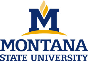 Montana State University