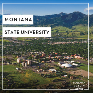 Montana State university