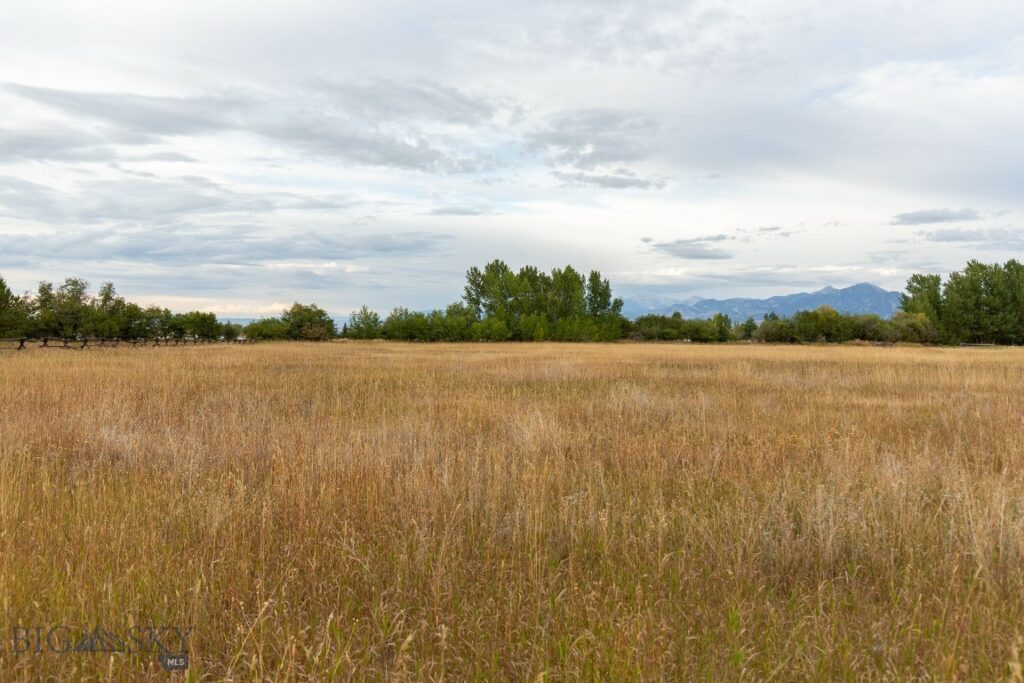 NHN Balsam Drive, Bozeman MT 59718