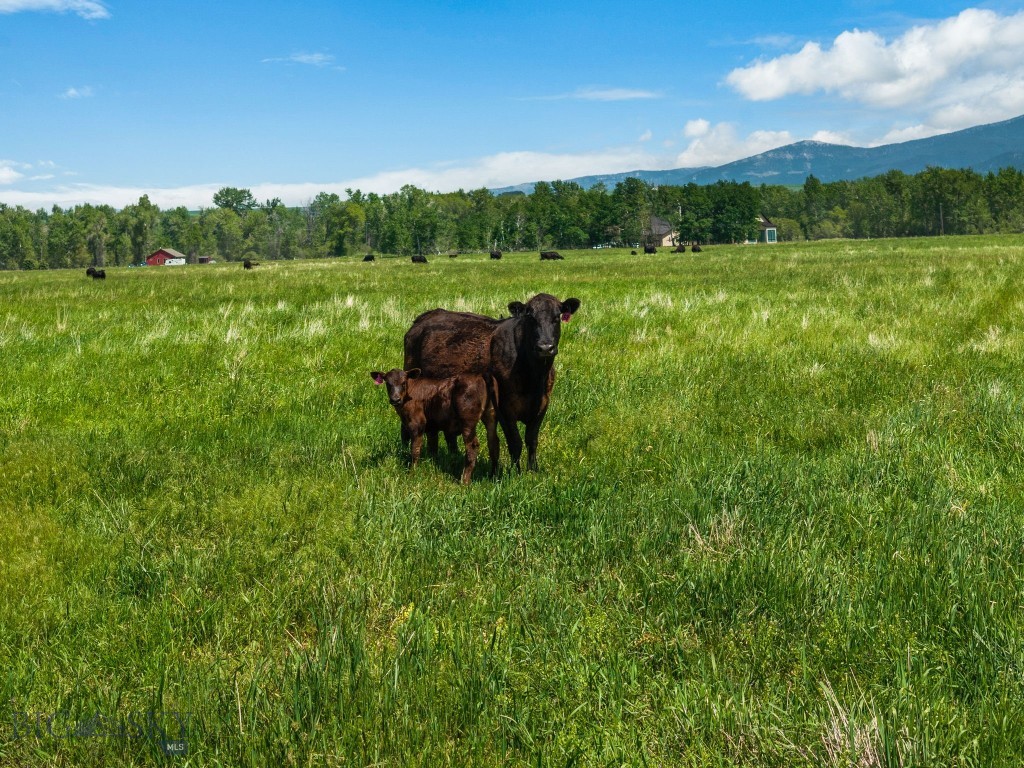 NHN Cottontail Road, Bozeman MT 59718