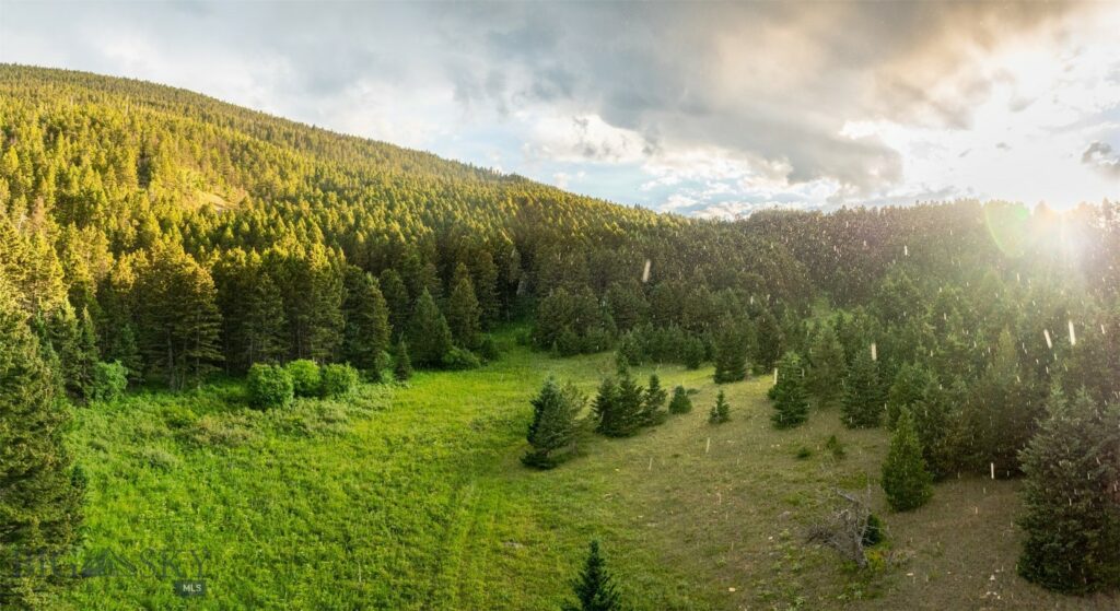 NHN Coyote Drive, Livingston MT 59047