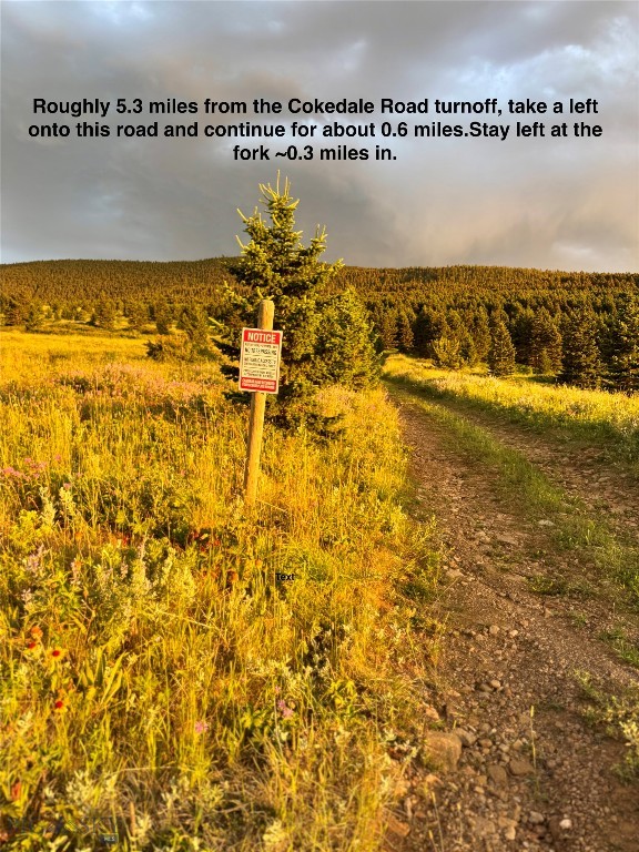 NHN Coyote Drive, Livingston MT 59047