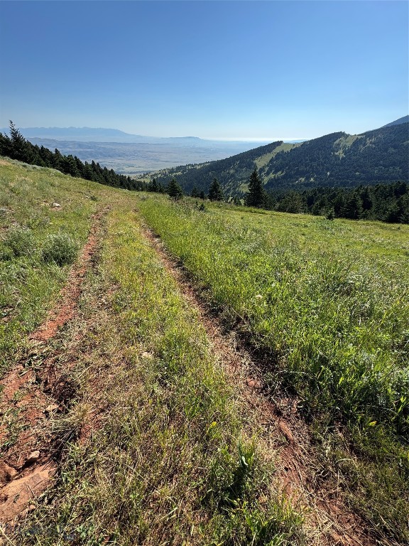 NHN Coyote Drive, Livingston MT 59047