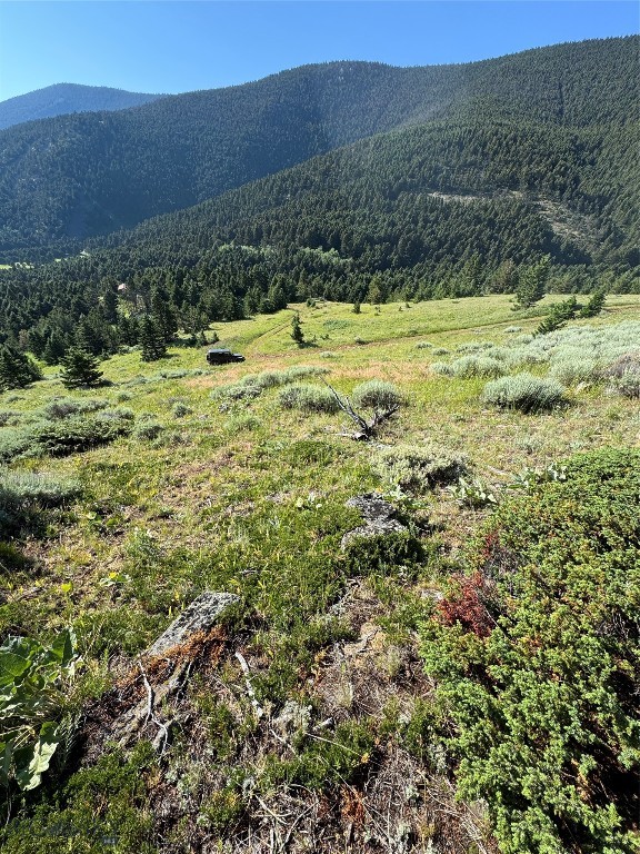 NHN Coyote Drive, Livingston MT 59047