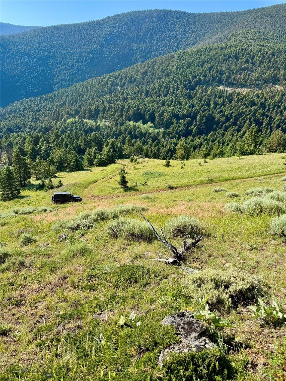 NHN Coyote Drive, Livingston MT 59047