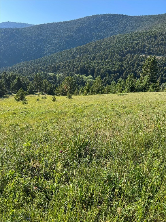 NHN Coyote Drive, Livingston MT 59047