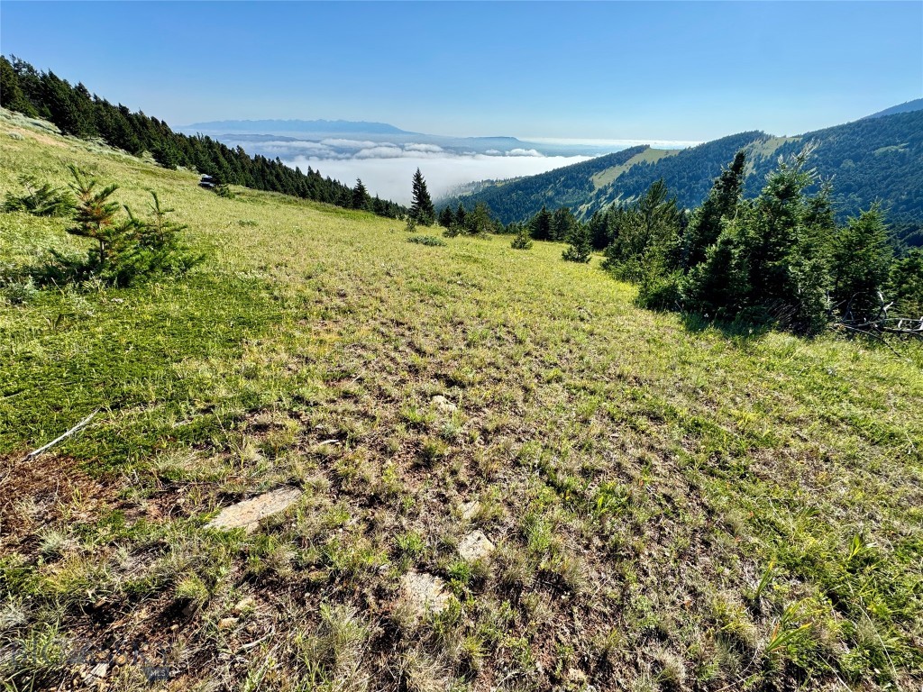 NHN Coyote Drive, Livingston MT 59047