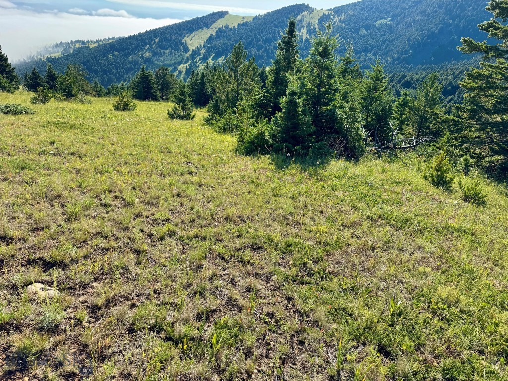 NHN Coyote Drive, Livingston MT 59047