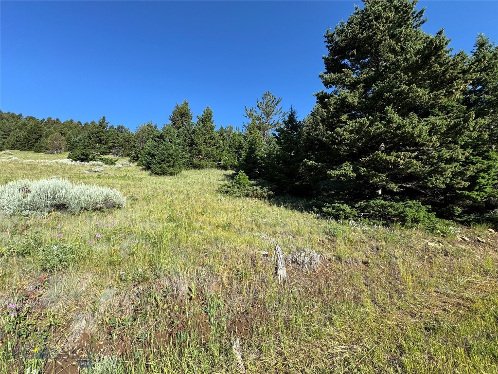 NHN Coyote Drive, Livingston MT 59047