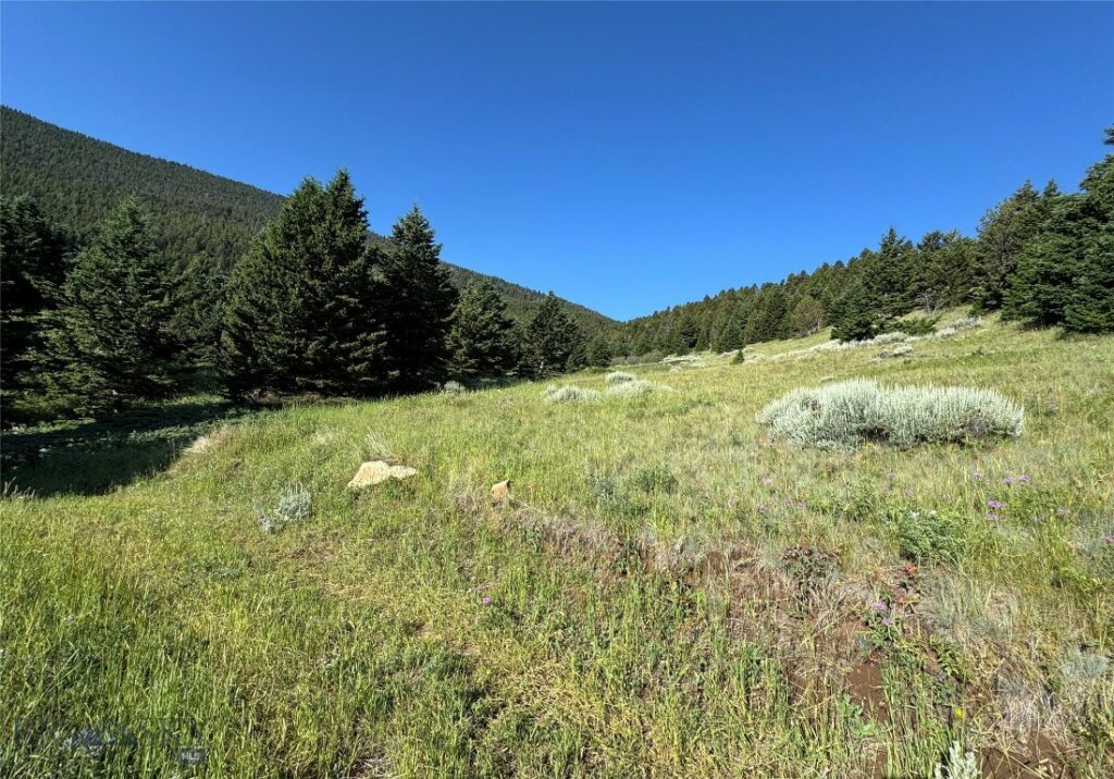 NHN Coyote Drive, Livingston MT 59047