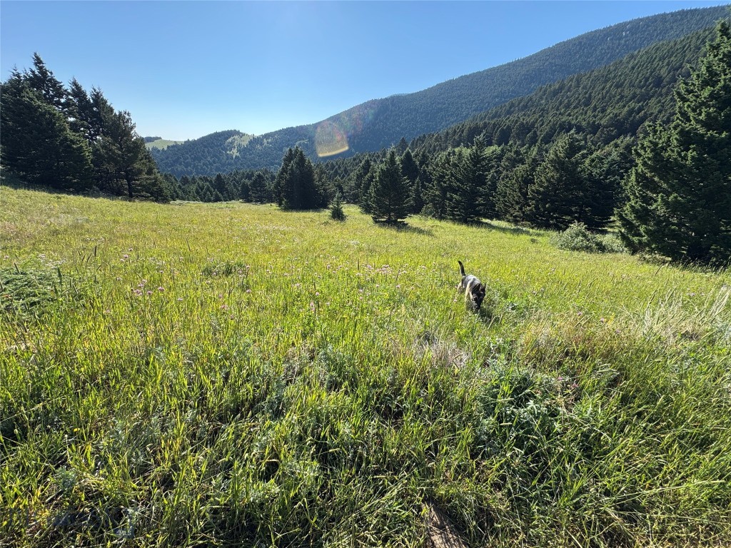 NHN Coyote Drive, Livingston MT 59047