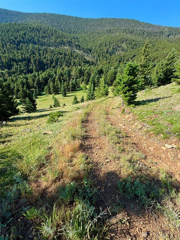 NHN Coyote Drive, Livingston MT 59047
