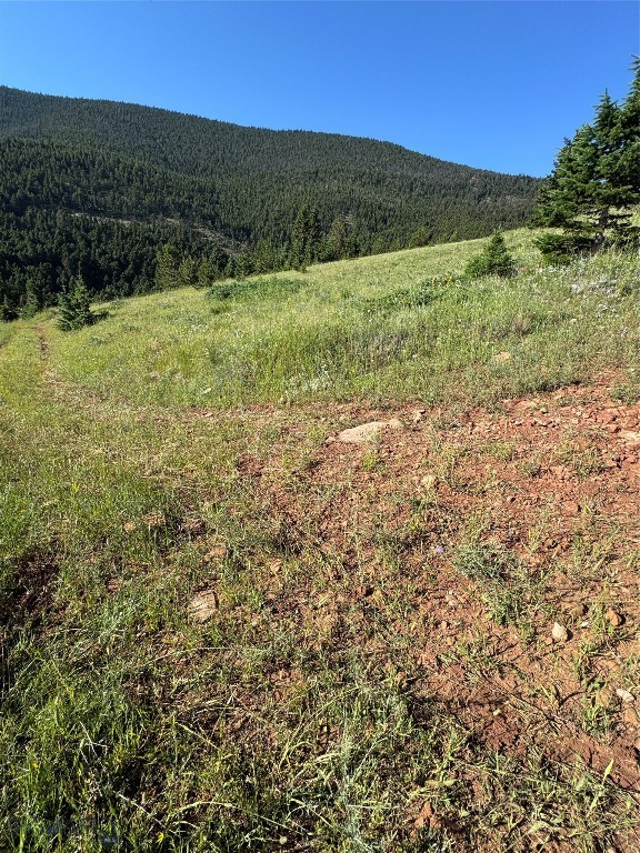 NHN Coyote Drive, Livingston MT 59047
