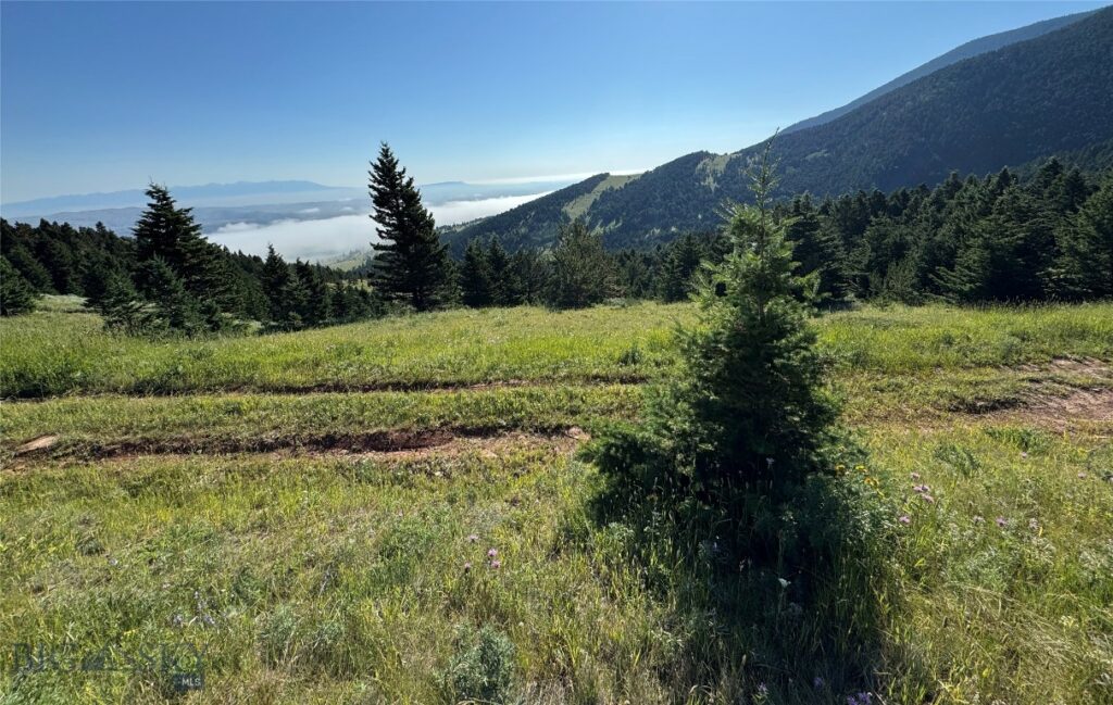 NHN Coyote Drive, Livingston MT 59047