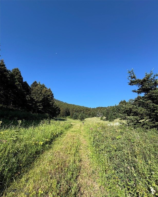 NHN Coyote Drive, Livingston MT 59047