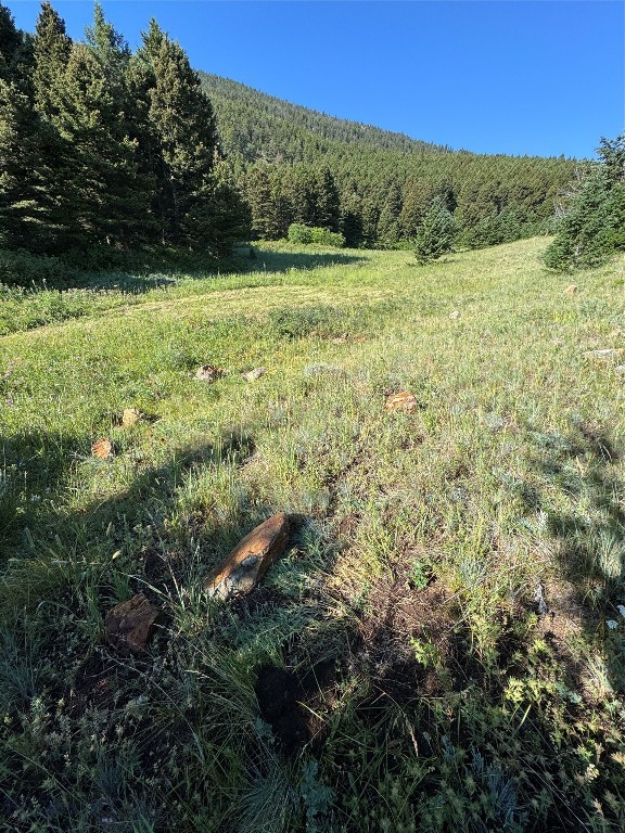 NHN Coyote Drive, Livingston MT 59047
