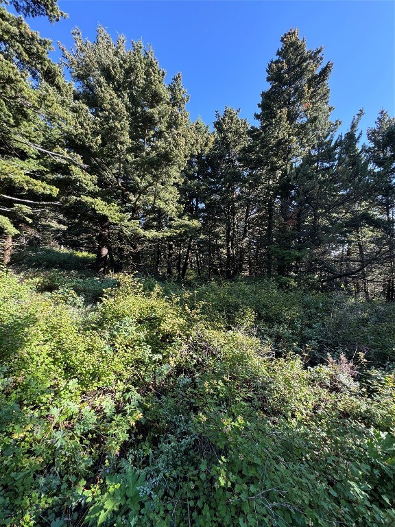 NHN Coyote Drive, Livingston MT 59047