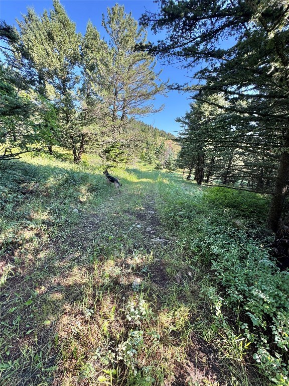 NHN Coyote Drive, Livingston MT 59047