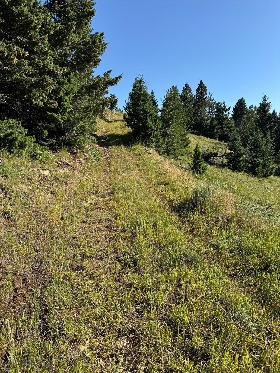 NHN Coyote Drive, Livingston MT 59047
