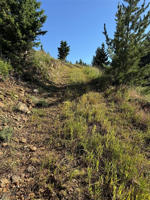 NHN Coyote Drive, Livingston MT 59047