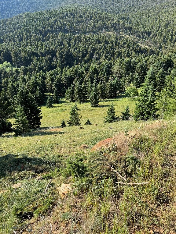 NHN Coyote Drive, Livingston MT 59047