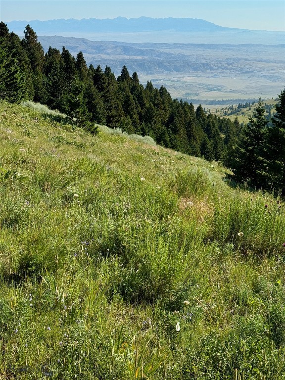 NHN Coyote Drive, Livingston MT 59047