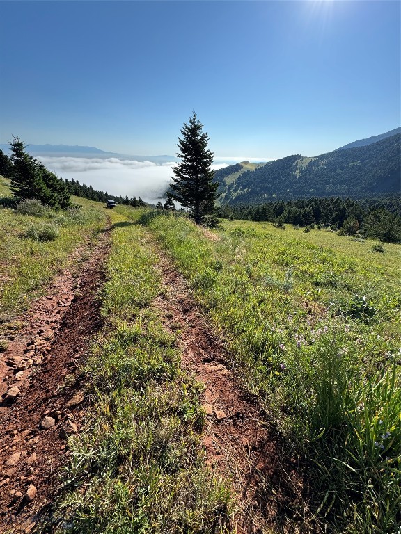NHN Coyote Drive, Livingston MT 59047