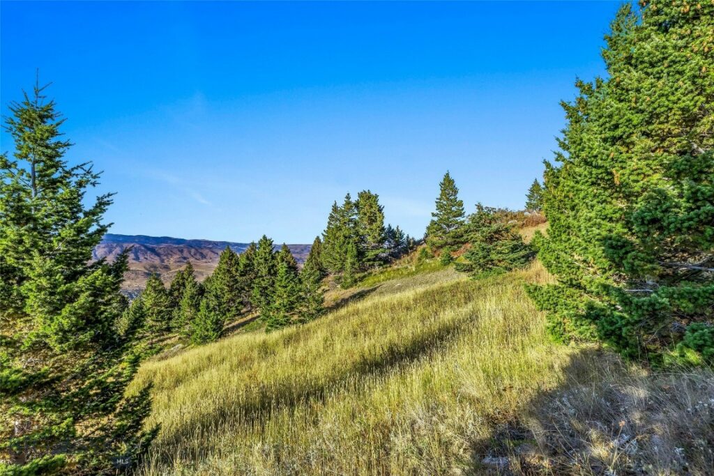 NHN Coyote (lot 69) Drive, Livingston MT 59047