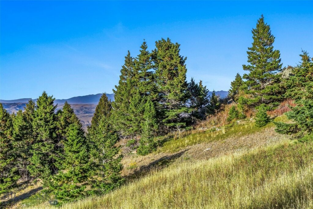 NHN Coyote (lot 69) Drive, Livingston MT 59047