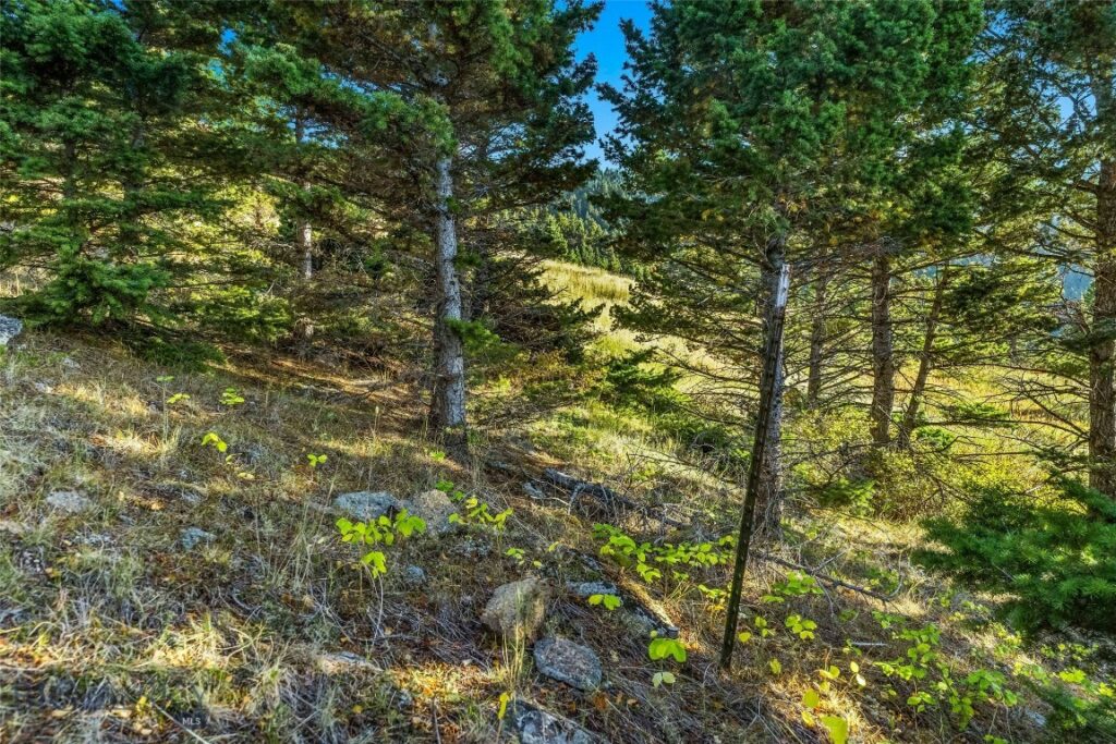NHN Coyote (lot 69) Drive, Livingston MT 59047