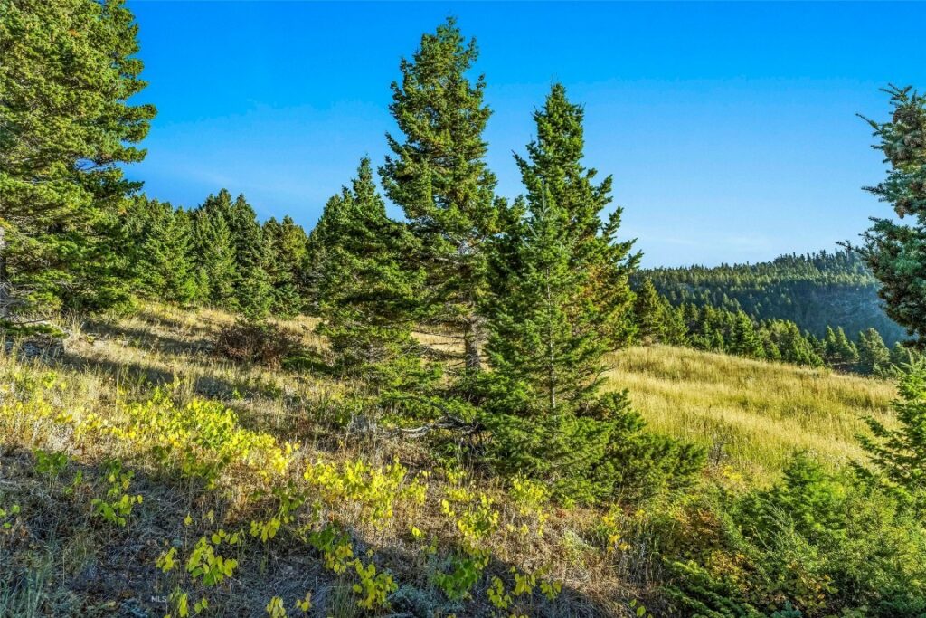 NHN Coyote (lot 69) Drive, Livingston MT 59047